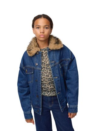 2W26A405 BRUSHED LEO