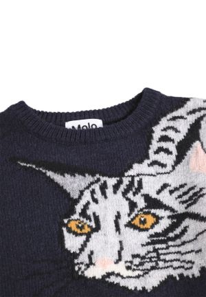 2W26K216 CURIOUS LYNX